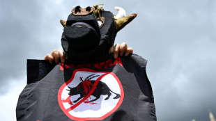 Colombia congress passes bill banning bullfighting