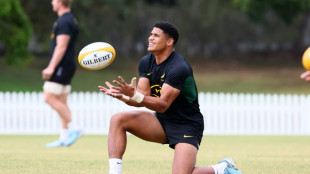 Australian revival faces stern test against Springboks