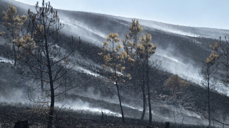 Accalmie sur le front des incendies en France, en Espagne et au Portugal