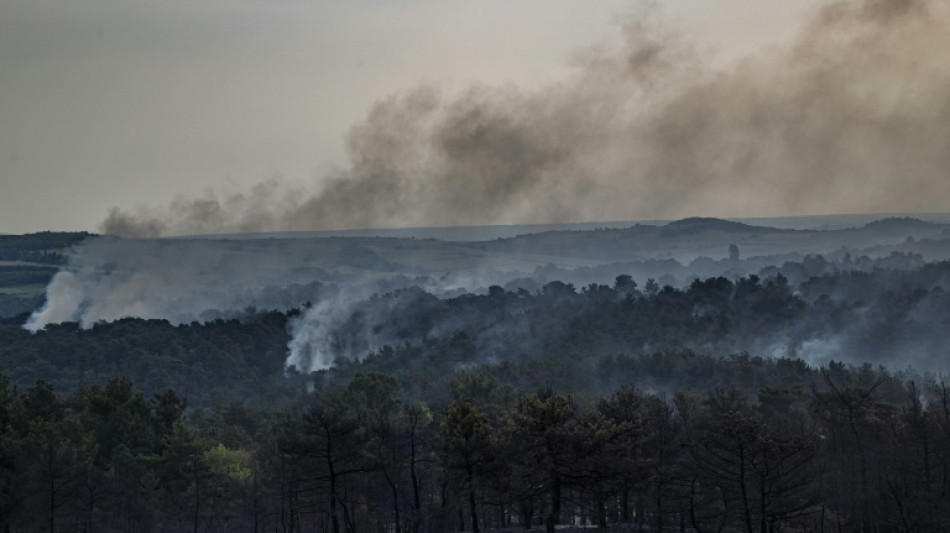 Incendies de forêt en Grèce : au moins 150.000 hectares touchés