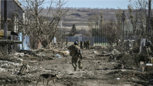 'Caught them by surprise': Ukraine troops take Kharkiv village