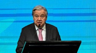 Artensterben: Guterres warnt Menschheit vor "Existenzkrise"