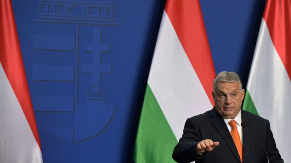 El dirigente húngaro Viktor Orban visitará al papa el jueves