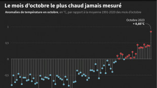 Octobre 2023 le plus chaud dans le monde, cinquième record mensuel d'affilée