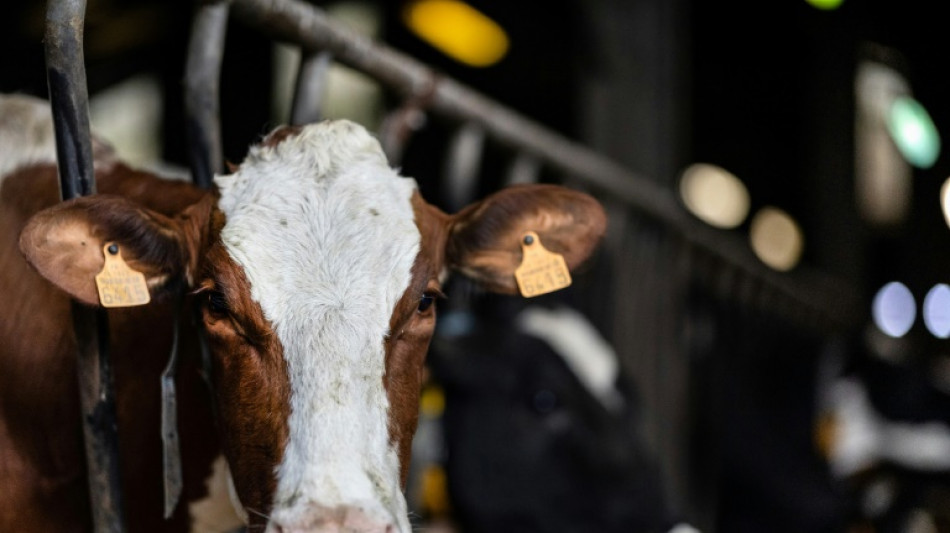 Plus de paysans, moins de contraintes ? Le projet de loi agricole au révélateur de l'Assemblée