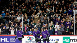 Record crowd in new women's North American hockey league