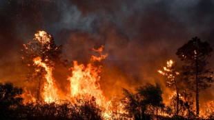 Algérie: beaucoup de dégâts et au moins 34 morts dans de violents incendies