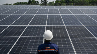 World falling short on 2030 renewables goal: IEA