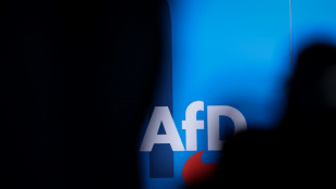 Verfassungsschutzbericht mit Aussagen über AfD muss nicht korrigiert werden