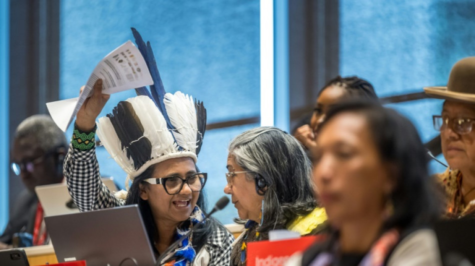 Celebrations as new biopiracy treaty agreed at UN