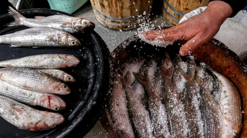 En Egypte, depuis des millénaires, un plat de poisson salé ravit les papilles et prend au nez