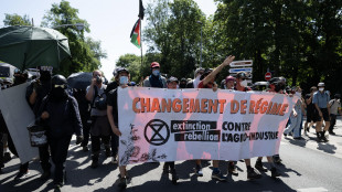 Francia, scontri a La Rochelle a manifestazione anti-bacini