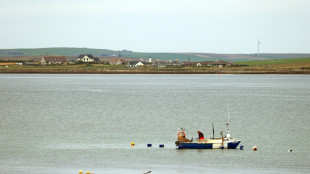 UK diving team hail suspected WWI warship find