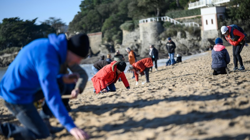 Manifestation sur une plage de Loire-Atlantique contre la pollution aux billes de plastique