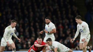 Wales ready for versatile France, says Reffell