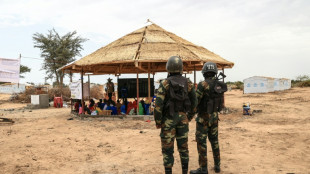 Boko Haram fighters kill 20 Cameroonian troops: sources