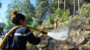 Macron dans le Gard pour préparer l'été après les grands feux de forêt de l'an dernier