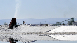 Litio, il Cile seleziona sei imprese per l'estrazione ad Atacama