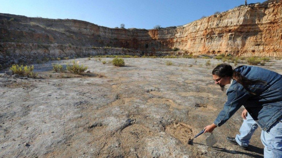 Paleontologi scoprono enormi impronte di dinosauro in Gb