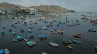 Oil spill tars Peruvian seaside towns, leaves fishermen jobless