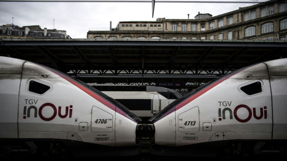 Chassé-croisé des vacances d'été: le jour le plus long pour la SNCF