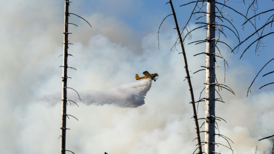 Waldbrand am Brocken gelöscht - Einsatzkräfte beginnen mit Ursachenermittlung