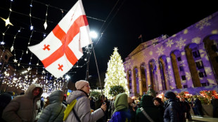 'Game of nerves': Georgians vow to outlast govt in pro-EU protests