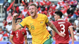 Australia's Asian Cup credentials face first real test in quarter-finals