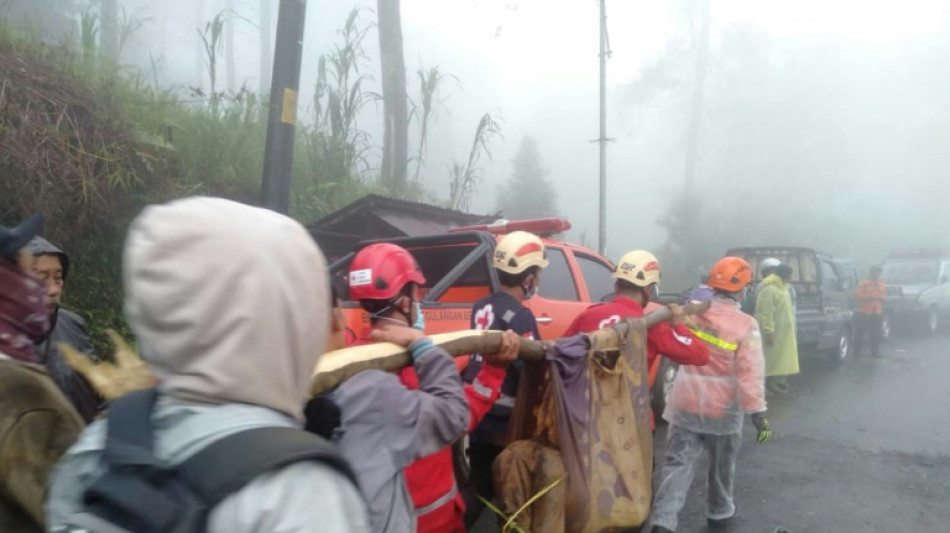 Rain-triggered landslide kills 17 in Indonesia