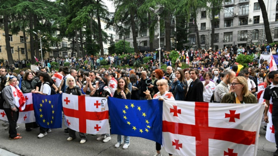 Georgia adopts 'foreign influence' law despite protests