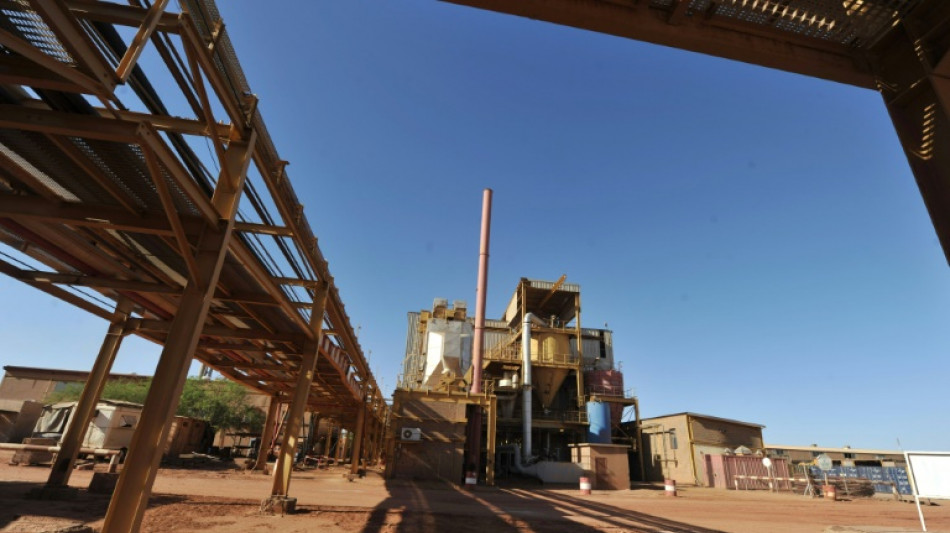 Uranium-rich Niger struggles despite nuclear resurgence