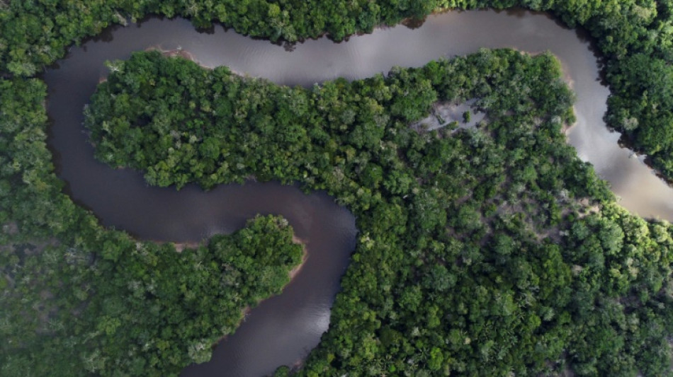 Arqueólogos descobrem na Amazônia vestígios de imensa rede de cidades com 2.500 anos