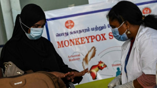 European festivals should not be scrapped due to monkeypox: WHO