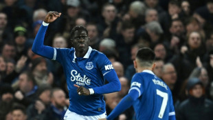 Onana rescues Everton as new Palace boss Glasner watches