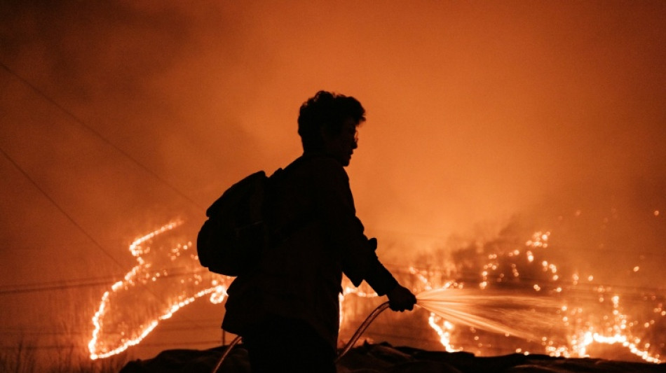 La Corée du Sud lutte contre des feux de forêt meurtriers