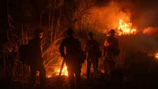 Los Angeles enfrenta el peligro de nuevos incendios por fuertes vientos cálidos