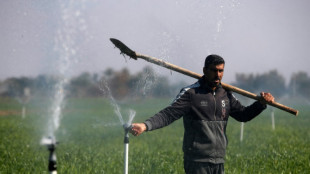 Sprinklers and drip irrigation help Iraqis beat drought
