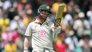 'Dream come true': Australia's Warner retires from Test cricket