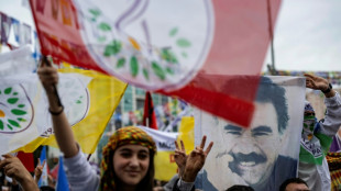 Turkey's pro-Kurd party meets jailed PKK leader 