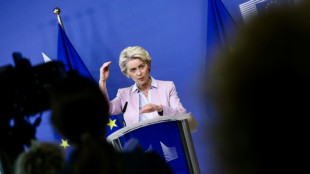 Von der Leyen will übermäßige Gewinne von Stromfirmen umverteilen