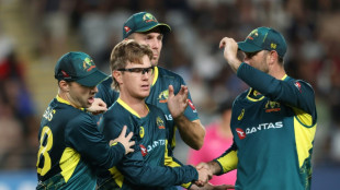 Australia punish New Zealand to win second T20 and clinch series