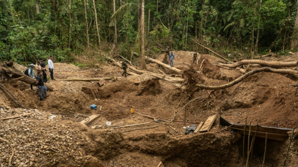 Desmantelan red de minería ilegal del Clan del Golfo en selva panameña