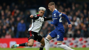 Palmer sinks Fulham to lift Chelsea gloom 