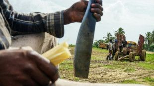 Dying for a pension: Haitian workers forsaken in Dominican Republic