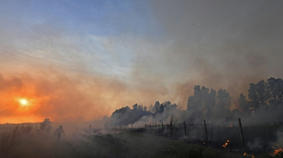 Algeria fires fanned by winds, extreme heat kill 34