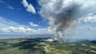 Canada far north city ordered to evacuate as wildfires advance