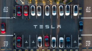 Des automobilistes délaissent Tesla depuis l'entrée en politique de Musk