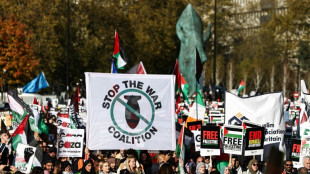 Des dizaines de milliers de personnes marchent à Londres sous haute surveillance "pour la Palestine"