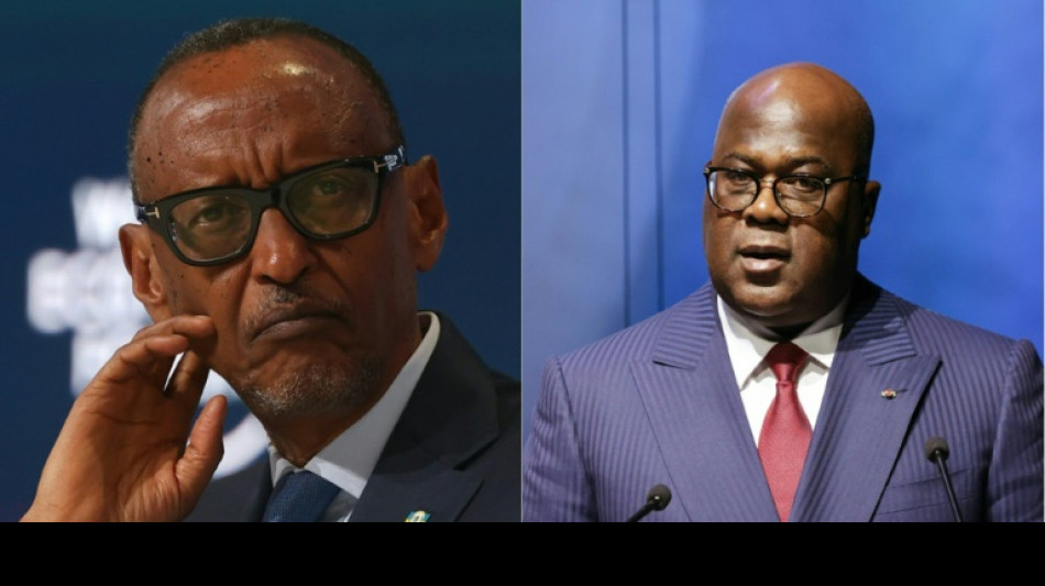 African leaders call for 'immediate ceasefire' at DRC summit