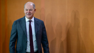 Scholz skeptisch zu möglichem AfD-Verbotsantrag